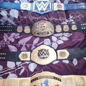 Set Of Four Wwe World Titles Like New Condition Asking 500 Or Best Offer.